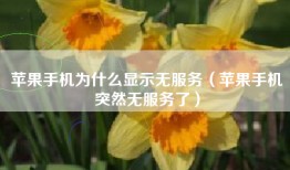 苹果手机为什么显示无服务（苹果手机突然无服务了）