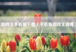 游戏王手机版下载（手机版游戏王游戏）