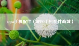 oppo手机配件（OPPO手机配件商城）