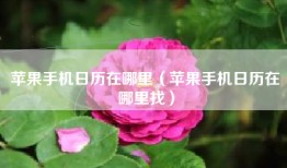 苹果手机日历在哪里（苹果手机日历在哪里找）