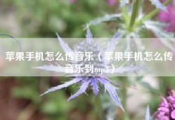 苹果手机怎么传音乐（苹果手机怎么传音乐到mp3）