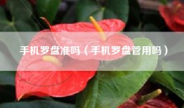 手机罗盘准吗（手机罗盘管用吗）