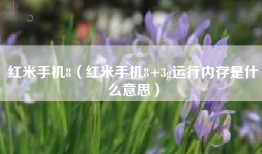 红米手机8（红米手机8+3g运行内存是什么意思）