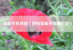 智能手机四核（四核智能手机哪款好）