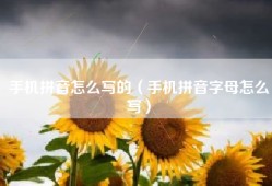 手机拼音怎么写的（手机拼音字母怎么写）