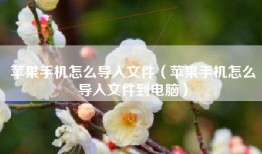 苹果手机怎么导入文件（苹果手机怎么导入文件到电脑）