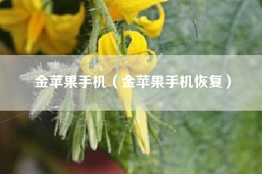 金苹果手机（金苹果手机恢复）