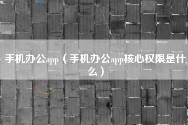 手机办公app（手机办公app核心权限是什么）