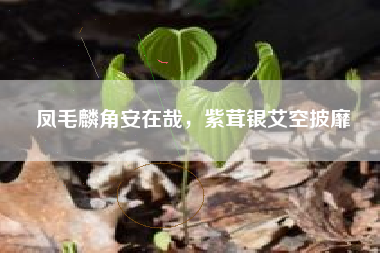 凤毛麟角安在哉，紫茸银艾空披靡